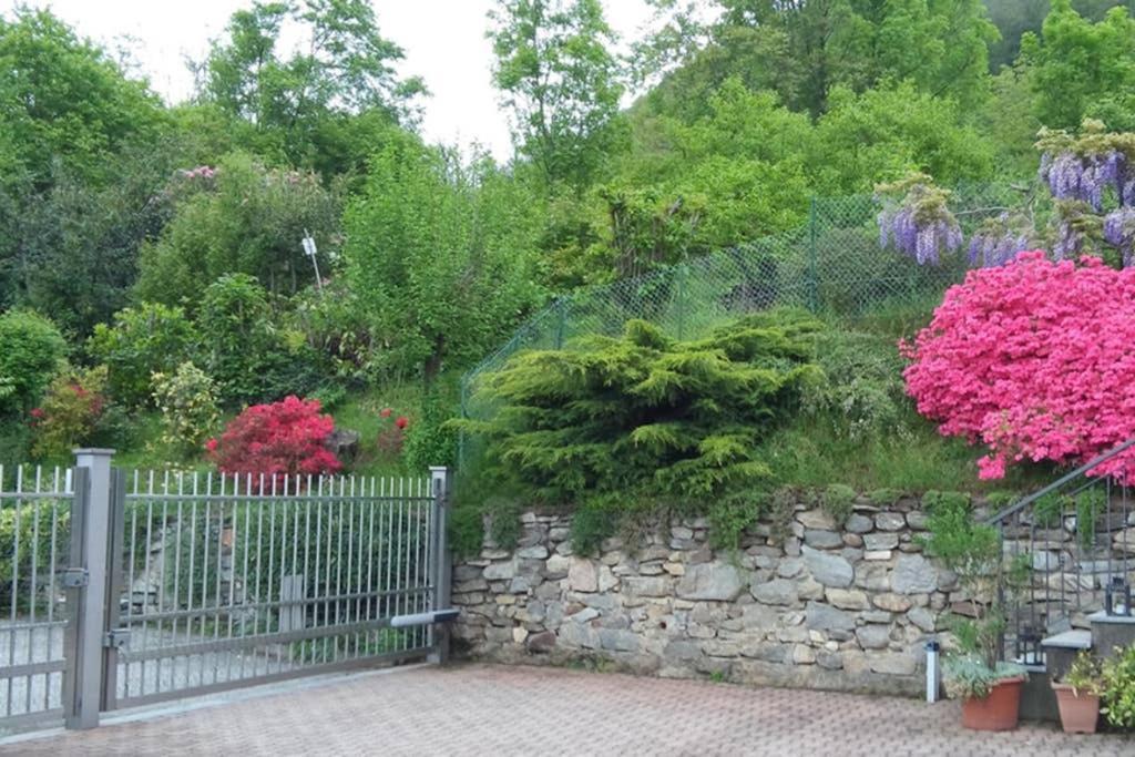 Lake Orta Openspace Garden Beach Петтенаско Екстер'єр фото